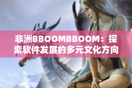 非洲BBOOMBBOOM：探索软件发展的多元文化方向