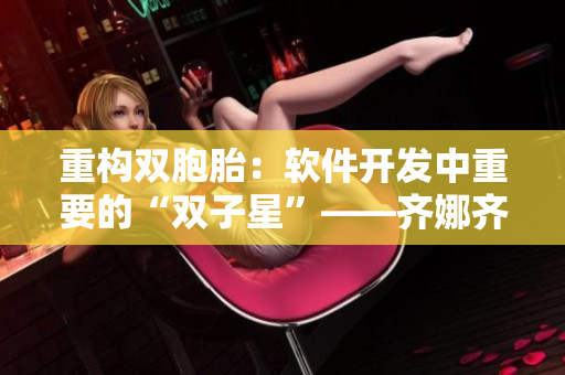 重构双胞胎：软件开发中重要的“双子星”——齐娜齐琳