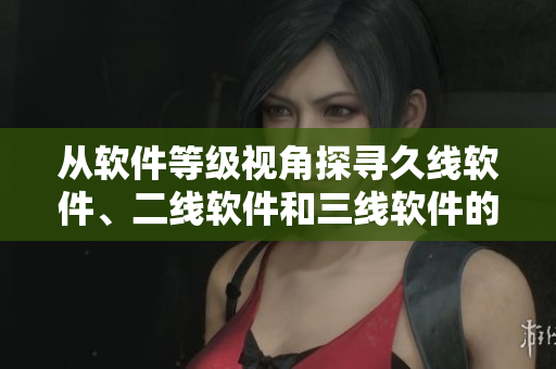 从软件等级视角探寻久线软件、二线软件和三线软件的差异与应用场景