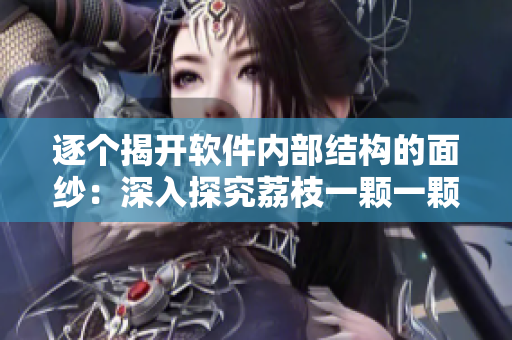 逐个揭开软件内部结构的面纱：深入探究荔枝一颗一颗的实现原理