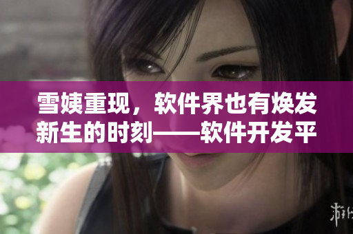 雪姨重现，软件界也有焕发新生的时刻——软件开发平台探秘