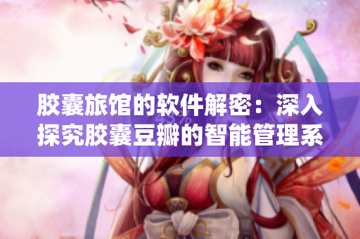 胶囊旅馆的软件解密：深入探究胶囊豆瓣的智能管理系统