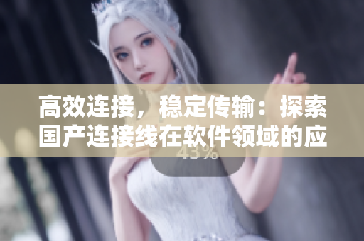 高效连接，稳定传输：探索国产连接线在软件领域的应用前景