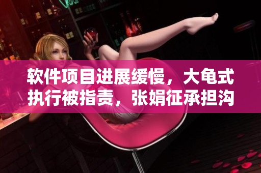 软件项目进展缓慢，大龟式执行被指责，张娟征承担沟通责任