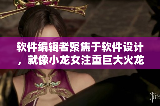 软件编辑者聚焦于软件设计，就像小龙女注重巨大火龙枪一样