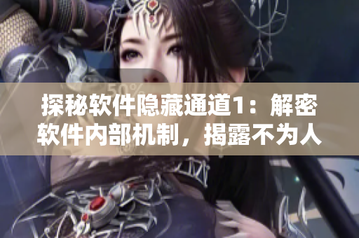 探秘软件隐藏通道1：解密软件内部机制，揭露不为人知的故事