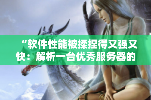 “软件性能被揉捏得又强又快：解析一台优秀服务器的秘密”